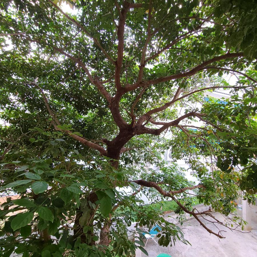 白砂灣藍海之丘blue Ocean Hill Bed & Breakfast Hengchun South Gate Exterior photo